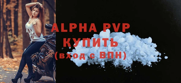 шишки Горно-Алтайск