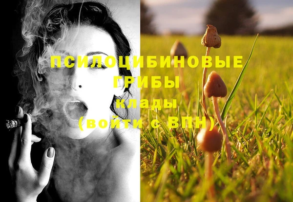 бошки Нефтегорск