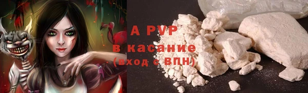 шишки Горно-Алтайск