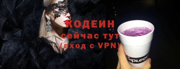 шишки Горно-Алтайск