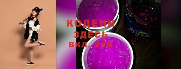 шишки Горно-Алтайск