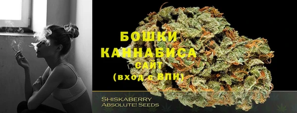 шишки Горно-Алтайск